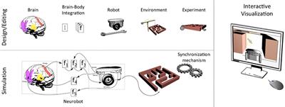 Connecting Artificial Brains to Robots in a Comprehensive Simulation Framework: The Neurorobotics Platform